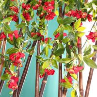 uploads/erp/collection/images/Home Garden/CongDing/XU0610461/img_b/XU0610461_img_b_3